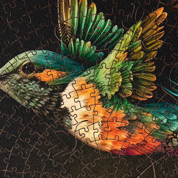 Colibri